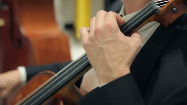 Παίξει το βιολί και το βιολοντσέλο — Αρχείο Βίντεο