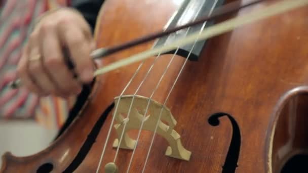 Play The Violin and Cello — Stock Video