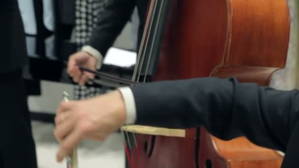 Play The Violin and Cello — Stock Video