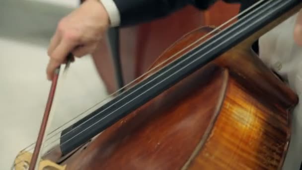 Toca el violín y el violonchelo — Vídeo de stock
