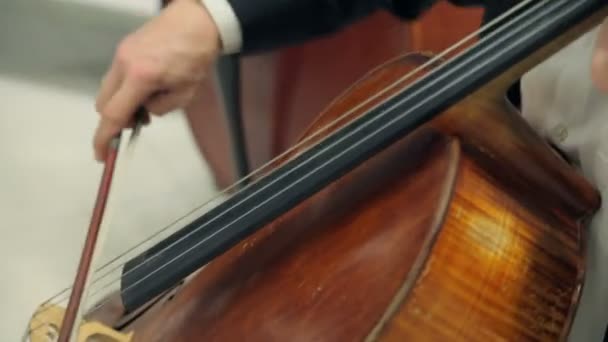 Play The Violin and Cello — Stock Video