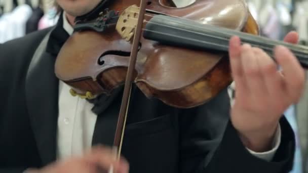 Play The Violin and Cello — Stock Video