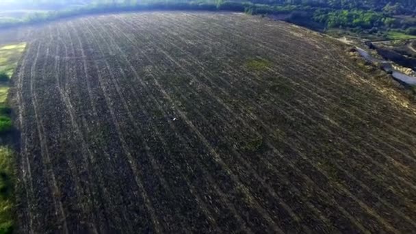 Vliegen Over het veld Quadrocopters ik — Stockvideo