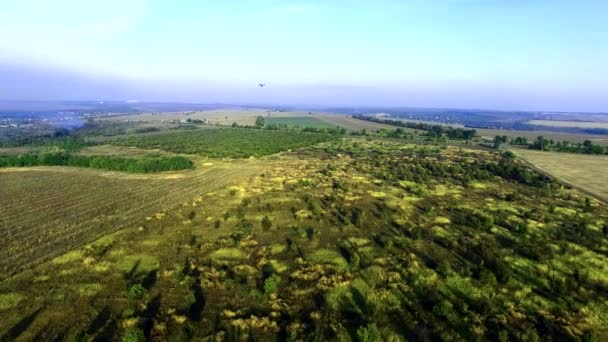 Volando sobre el jardín de frutas abandonado — Vídeo de stock