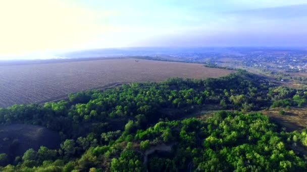 Flyger över fältet Quadrocopters jag — Stockvideo