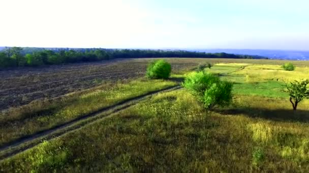 Survoler le terrain Quadrocopters — Video