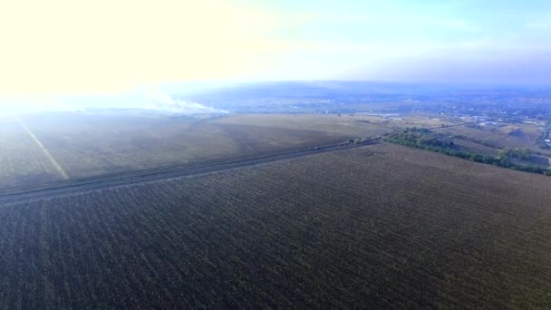 Flygande över fältet Quadrocopters — Stockvideo