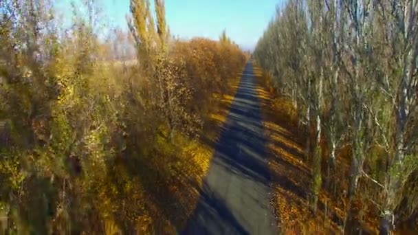 The Road in The Fall. Aerial Survey — Stock Video