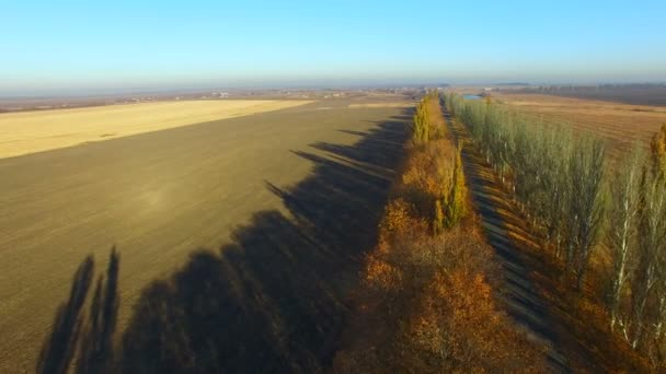Az út az ősszel. Légi felmérés — Stock videók