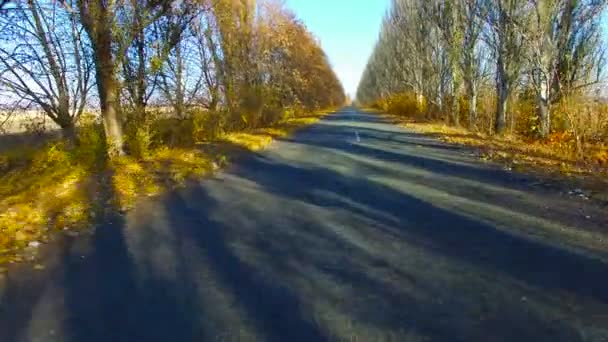 La route de l'automne. Relevé aérien — Video