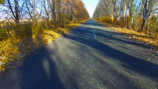 De weg in de herfst. Luchtfoto enquête — Stockvideo