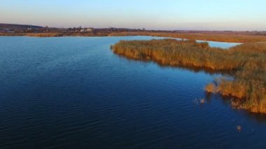 Göl günbatımı at üzerinde uçan