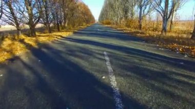 Yolun sonbaharda. Hava anket