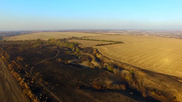 Flying Over The Ore Quarry — Stock Footage Flying Over The Ore Quarry Royalty Free Stock Video