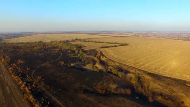 Vliegen Over de erts steengroeve — Stockvideo