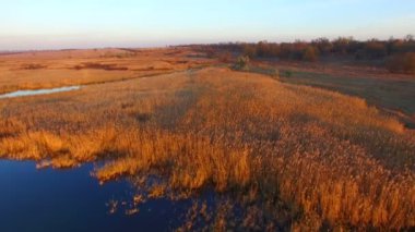 Göl günbatımı at üzerinde uçan