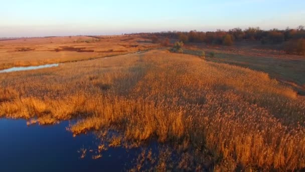 Volando sobre el lago al atardecer — Vídeo de stock