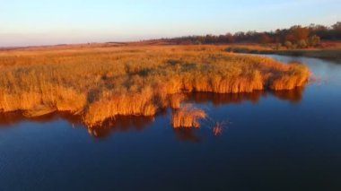 Göl günbatımı at üzerinde uçan