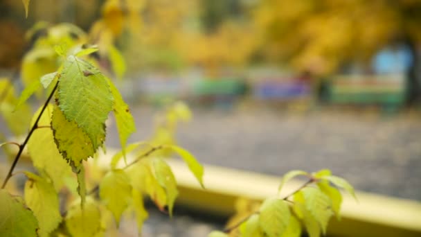 Bänk i parken på hösten — Stockvideo