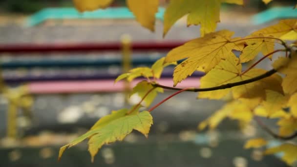 Bank in het park in de herfst — Stockvideo