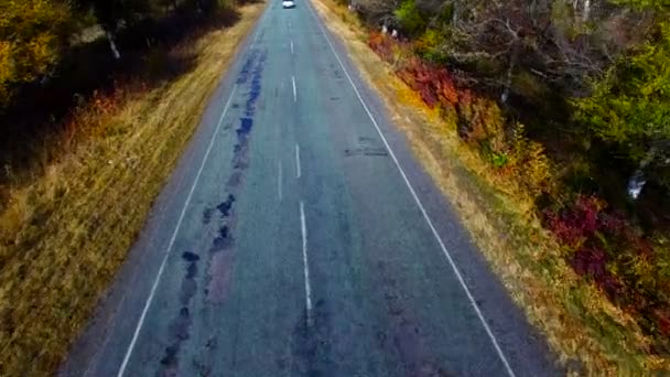 Autumn Road. Indagine aerea — Video Stock