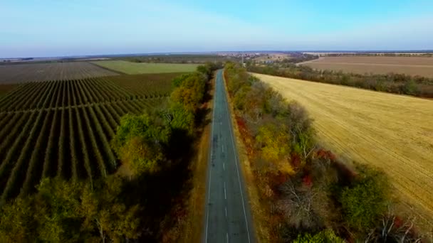 秋の道。航空測量 — ストック動画