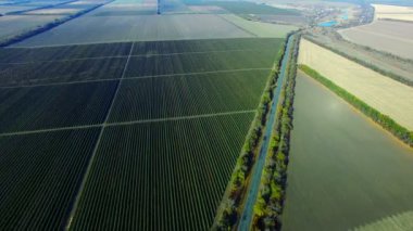 Orchard üzerinde uçan. Hava anket