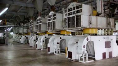 Ayçiçeği tohumu işleme Atölyesi