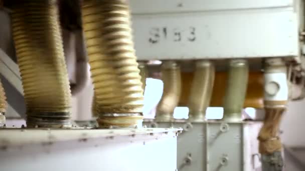 Оборудование для переработки семян подсолнечника — стоковое видео