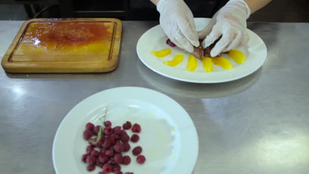 Cuire met poitrine de poulet sur une assiette — Video