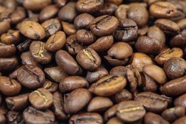 Kavrulmuş kahve çekirdeği.