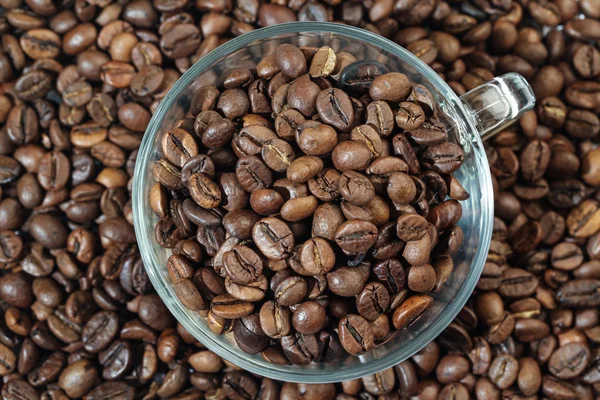 Gelas cangkir dengan biji kopi — Stok Foto