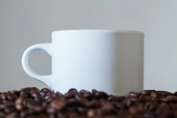 Beyaz fincan kahve çekirdekleri — Stok fotoğraf