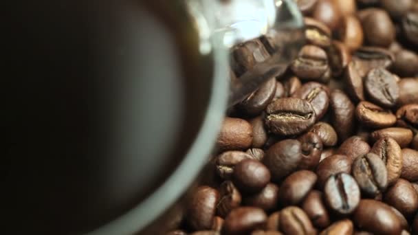 Cup of coffee Beans Roasted in — Stock Video