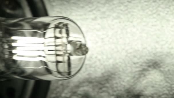 Ampoule halogène éclairage studio 