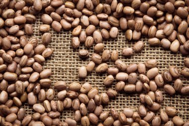 Barbunya fasulyesi ile arka plan