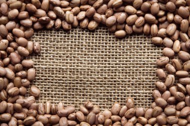 Barbunya fasulyesi ile arka plan