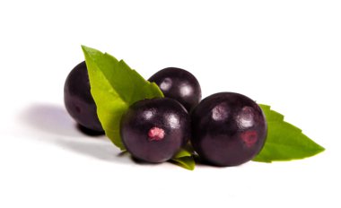 amazon acai meyve.