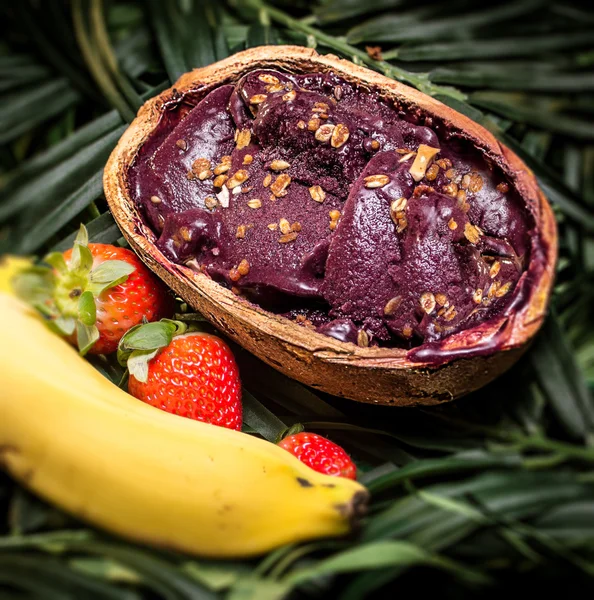 A fruta de açaí da amazônia — Fotografia de Stock