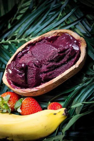 A fruta de açaí da amazônia — Fotografia de Stock