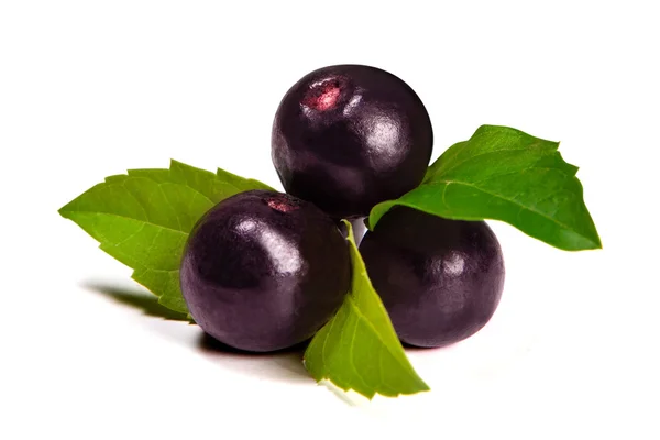 The amazon acai fruit. — Stock Photo, Image