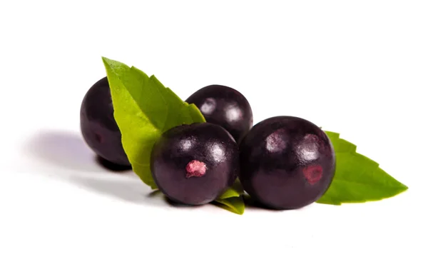 The amazon acai fruit. — Stock Photo, Image