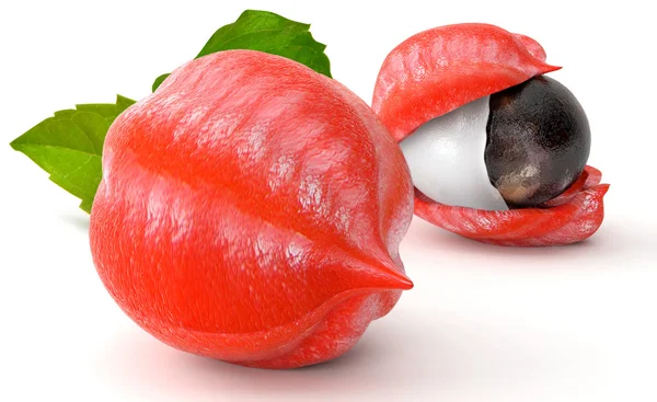 Guarana meyve ve yaprakları