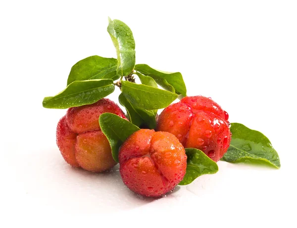 Acerola fruta pequeña de cereza — Foto de Stock