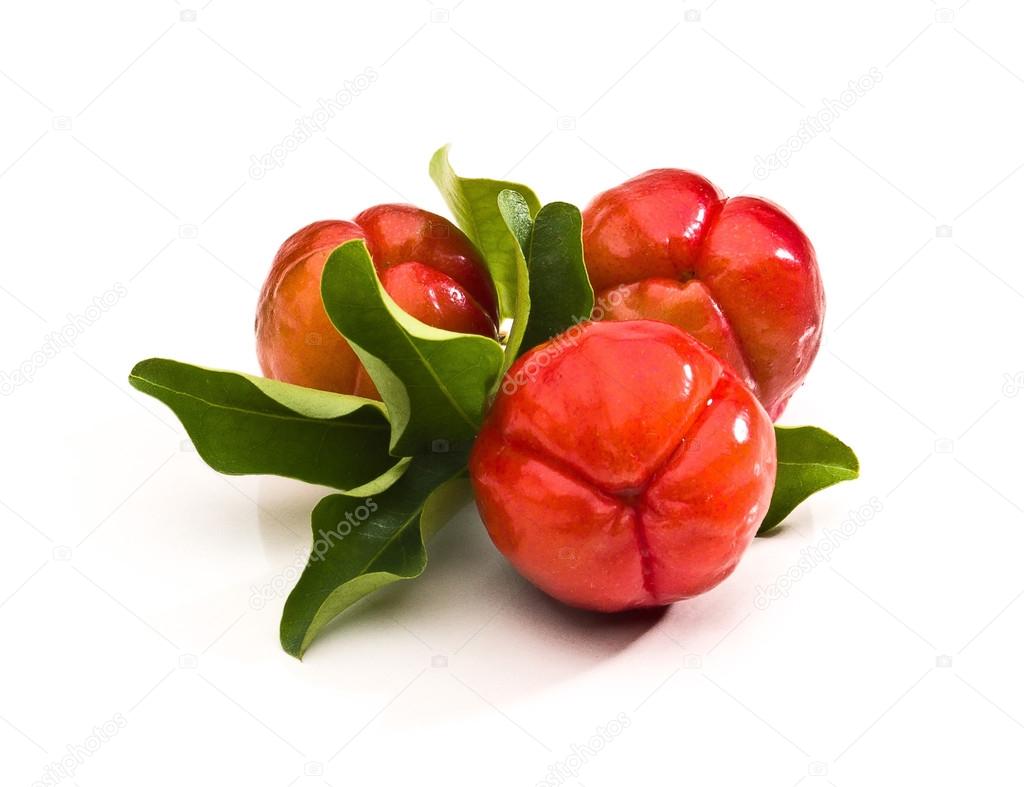 Acerola small cherry fruit