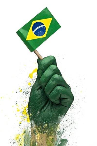 巴西球迷爱国者与标志 — 图库照片