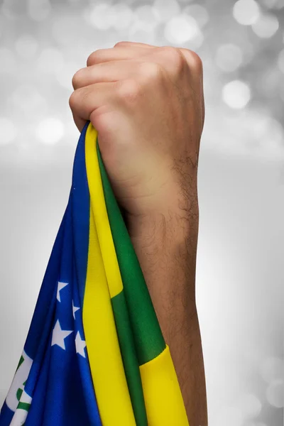 フラグとブラジルのファンの愛国者 — ストック写真