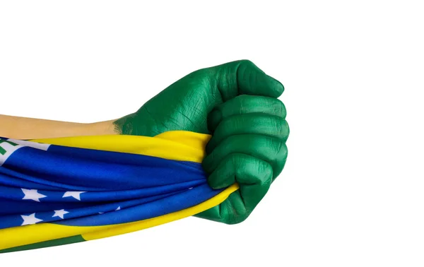 Brazilian fan patriot with flag — Stock Photo, Image