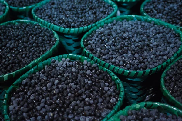 La fruta del acai amazona . — Foto de Stock