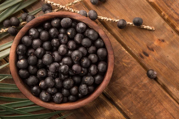 A fruta de açaí da amazônia — Fotografia de Stock